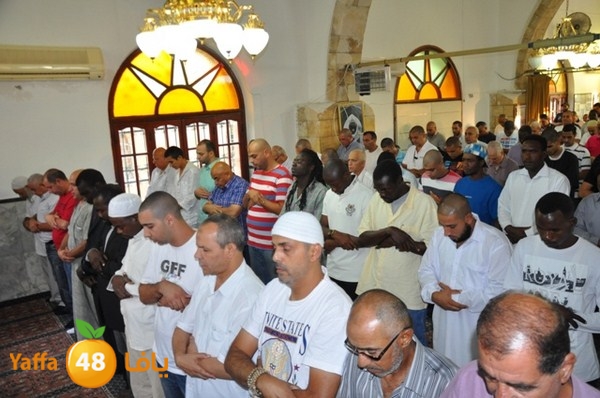 3eed 7san bek 808 (24).JPG